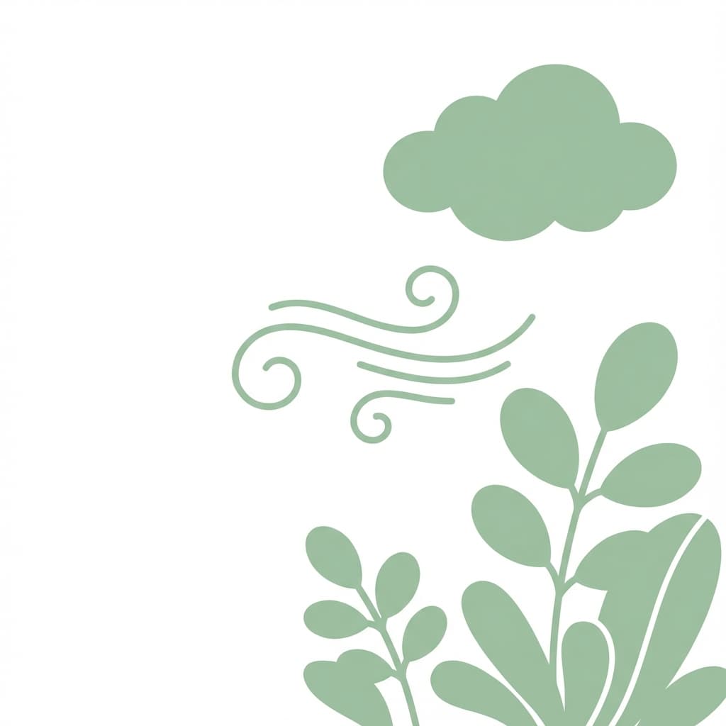 Illustration nature et sérénité